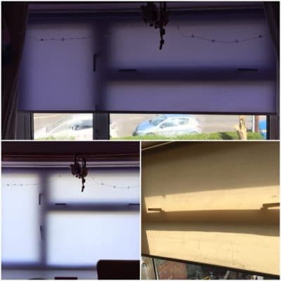 Roller Blinds - Purple - made to measure - fitting service - Hereford